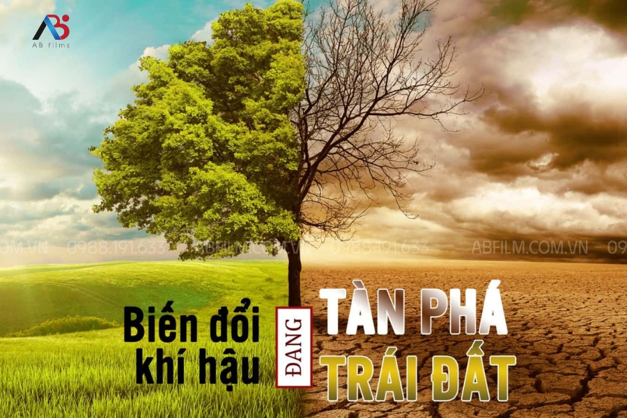 Nắng nóng và sức khỏe: Những điều cần biết để bảo vệ cơ thể