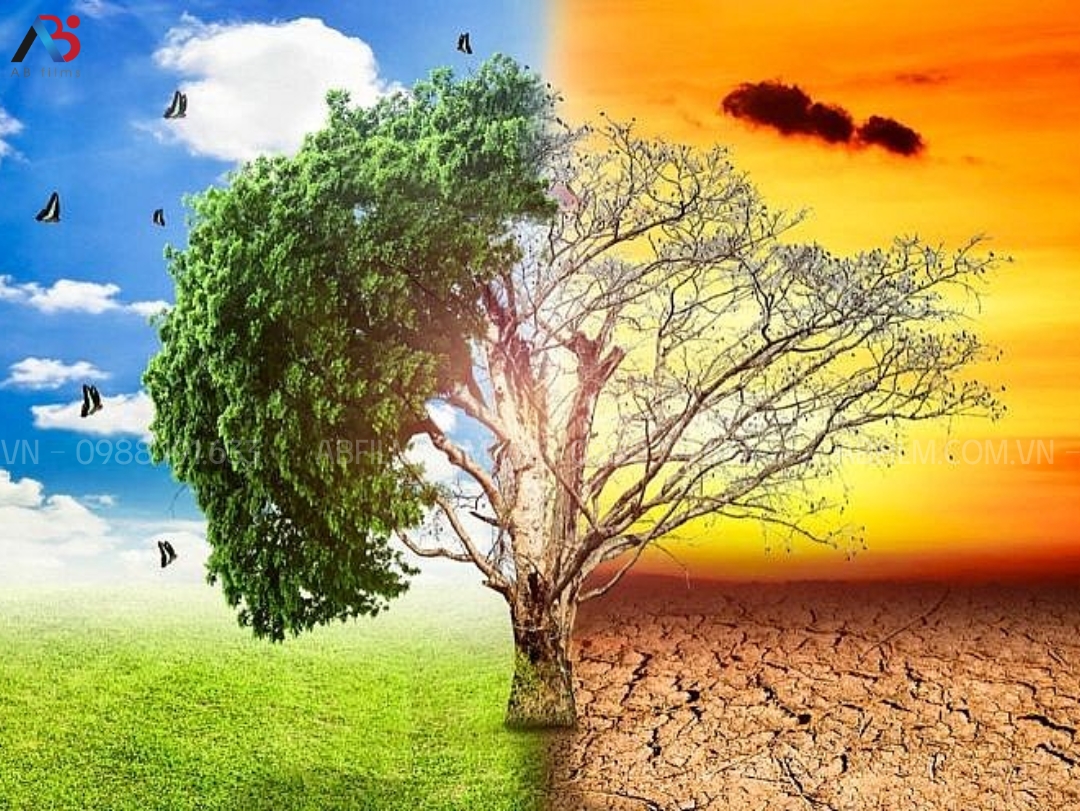 biến đổi khí hậu