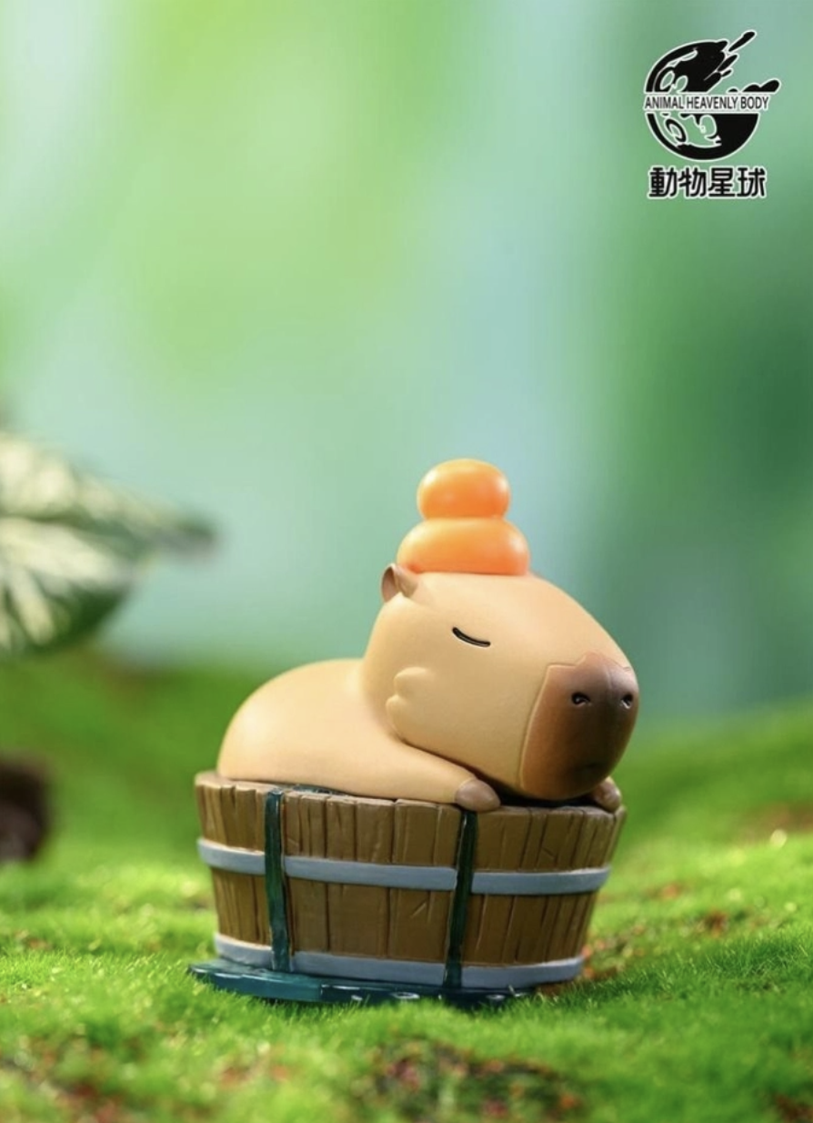 ANIMAL PLANET Capybara Blind Box Series