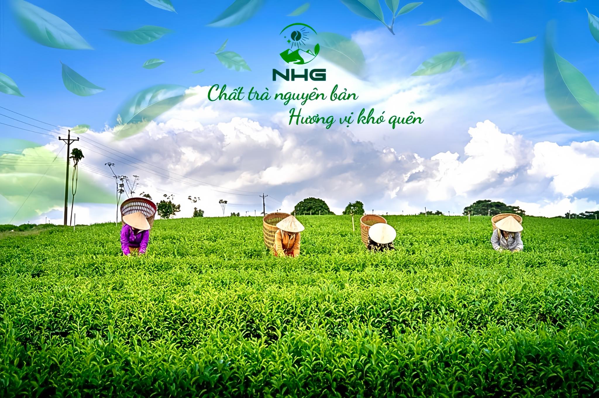 Hướng Dẫn Cách Pha Hồng Trà Mỹ Nhân và Hồng Trà Phi Yến Chuẩn Vị Shan Tuyết