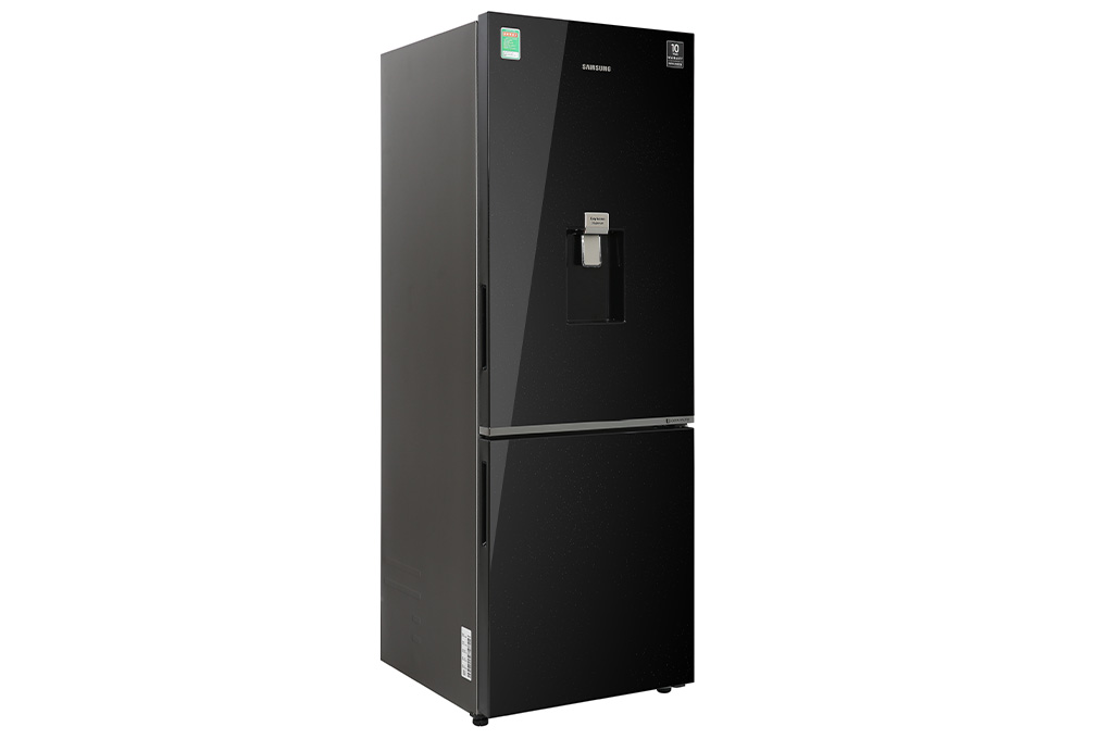 Tủ lạnh Samsung 307 lít RB30N4190BU/SV (Inverter)