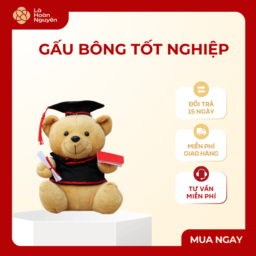 GẤU BÔNG TỐT NGHIỆP