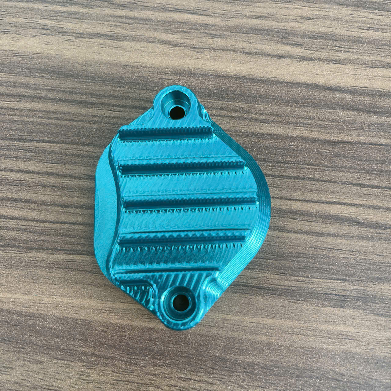 ( 1 Nắp ) Nắp xupap IPPON wave /dream