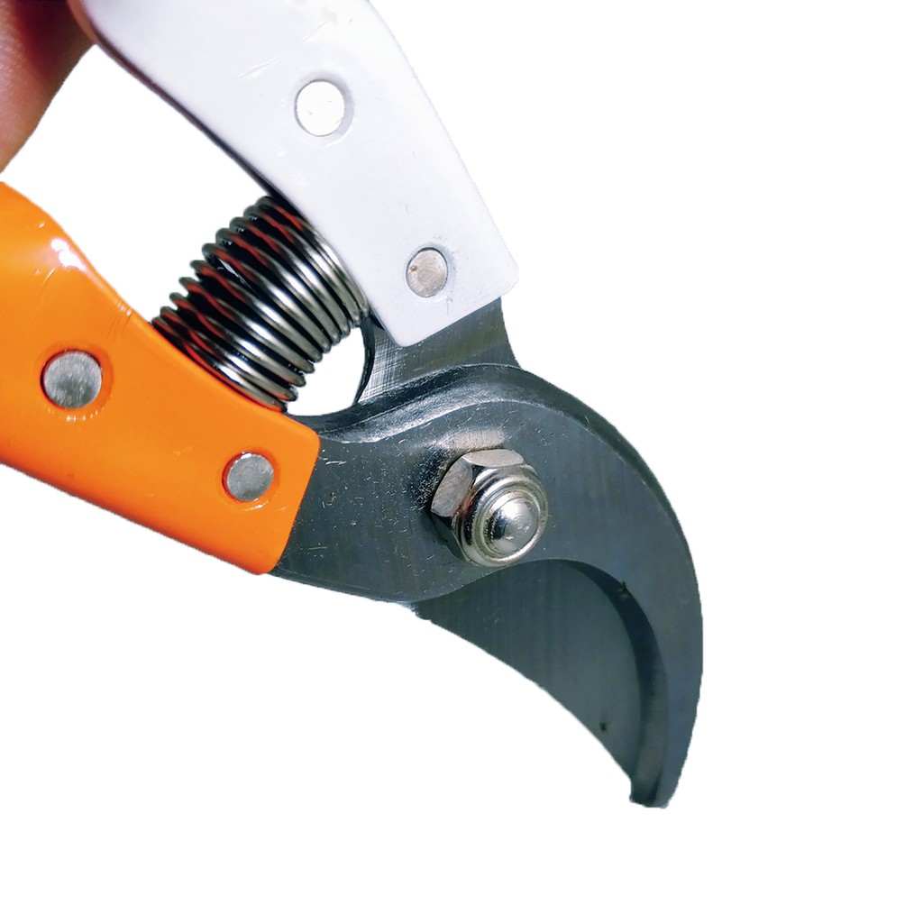 Kéo Cắt Tỉa Cành Cây Cảnh KAPUSI Tay Cầm Trắng Cam