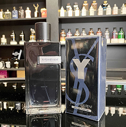 YSL