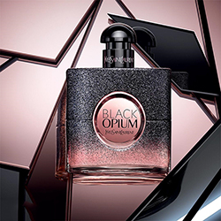 Yves Saint Laurent