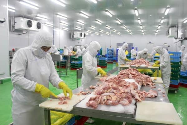 Thực tập sinh là gì? Tìm hiểu về thực tập sinh Nhật Bản 2024