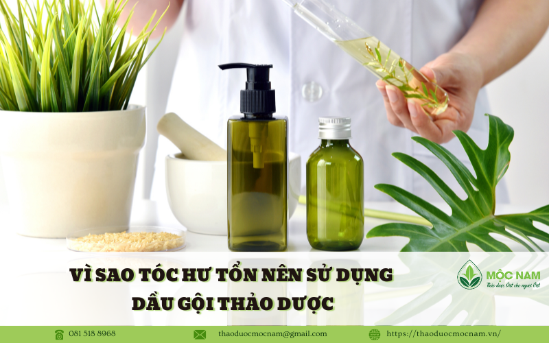 Vì sao tóc hư tổn nên sử dụng dầu gội thảo dược