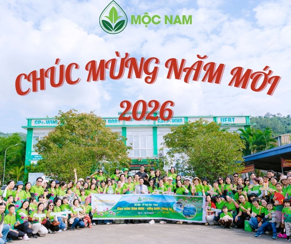 🌿 MỘC NAM CHÚC MỪNG NĂM MỚI 2026 🌿