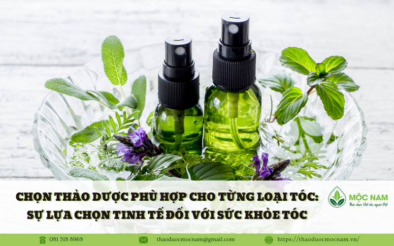 Chọn Thảo Dược Phù Hợp Cho Từng Loại Tóc: Sự Lựa Chọn Tinh Tế Đối Với Sức Khỏe Tóc