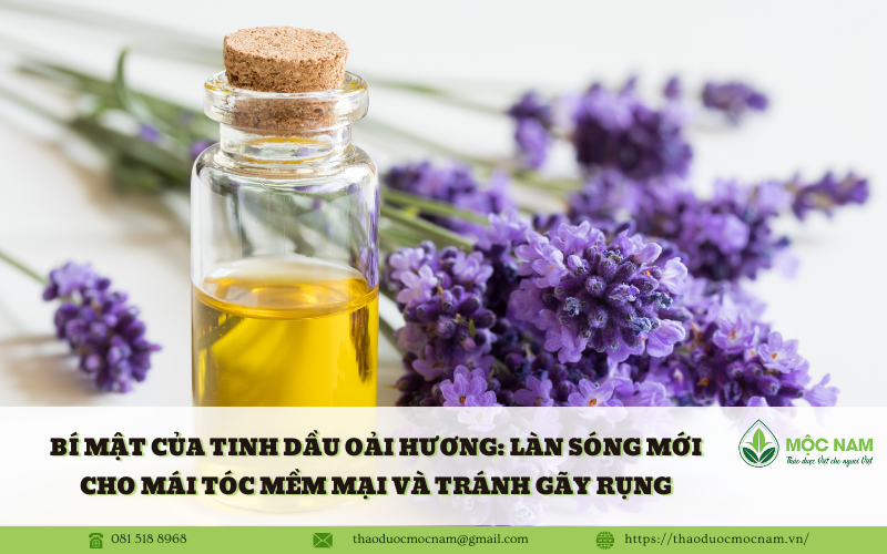 Bí mật của Tinh Dầu Oải Hương: Làn sóng mới cho mái tóc mềm mại và tránh gãy rụng