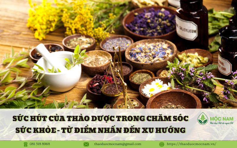 Sức hút của Thảo dược trong Chăm sóc Sức khỏe - Từ Điểm nhấn Đến Xu hướng