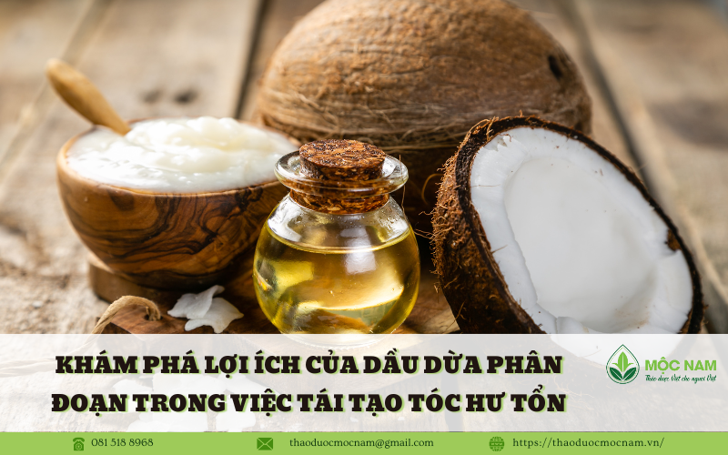Khám Phá Lợi Ích của Dầu Dừa Phân Đoạn trong Việc Tái Tạo Tóc Hư Tổn