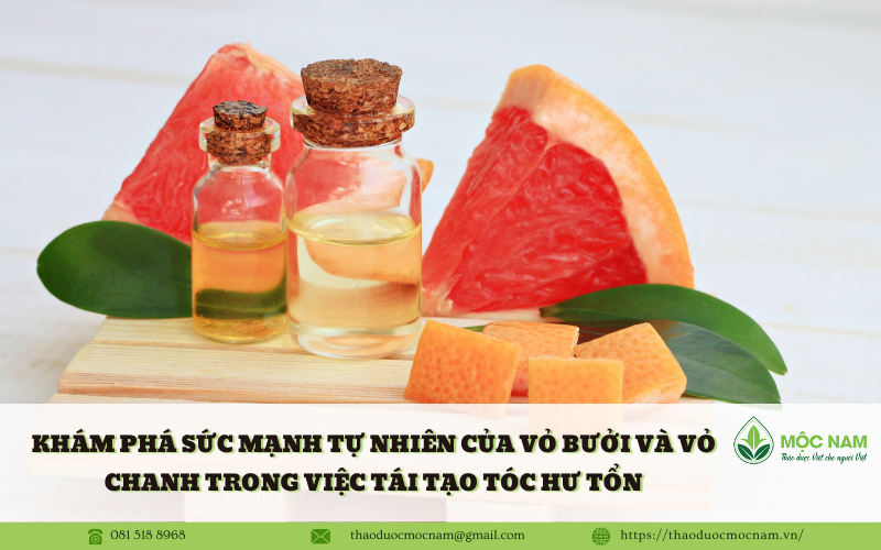 Khám phá Sức Mạnh Tự Nhiên của Vỏ Bưởi và Vỏ Chanh trong Việc Tái Tạo Tóc Hư Tổn