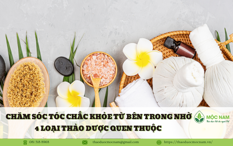 Chăm sóc tóc chắc khỏe từ bên trong nhờ 4 loại thảo dược quen thuộc
