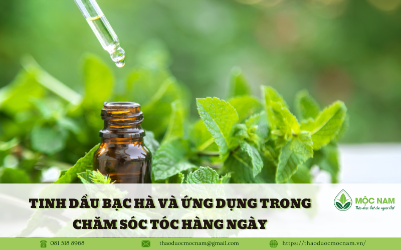 Tinh Dầu Bạc Hà và Ứng Dụng Trong Chăm Sóc Tóc Hàng Ngày