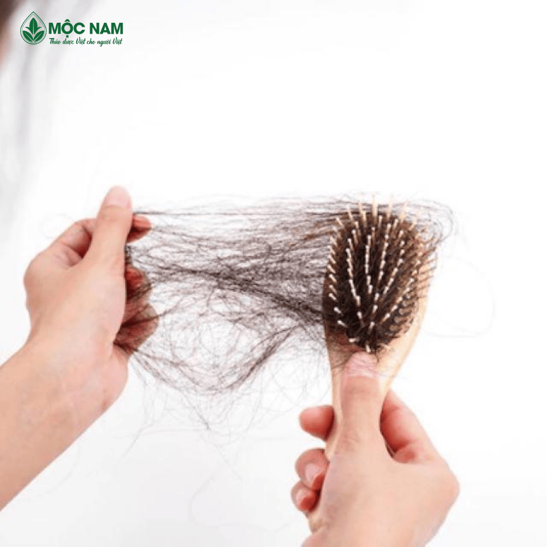 Cứ vào mùa thu là tóc rụng lả tả như lá vàng rơi, phải làm thế nào?