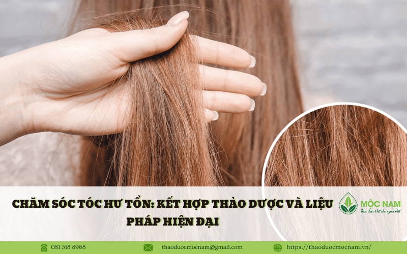 Chăm sóc tóc hư tổn: Kết hợp thảo dược và liệu pháp hiện đại