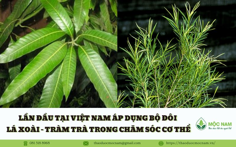 Lần đầu tại Việt Nam áp dụng bộ đôi Lá Xoài - Tràm Trà trong chăm sóc cơ thể