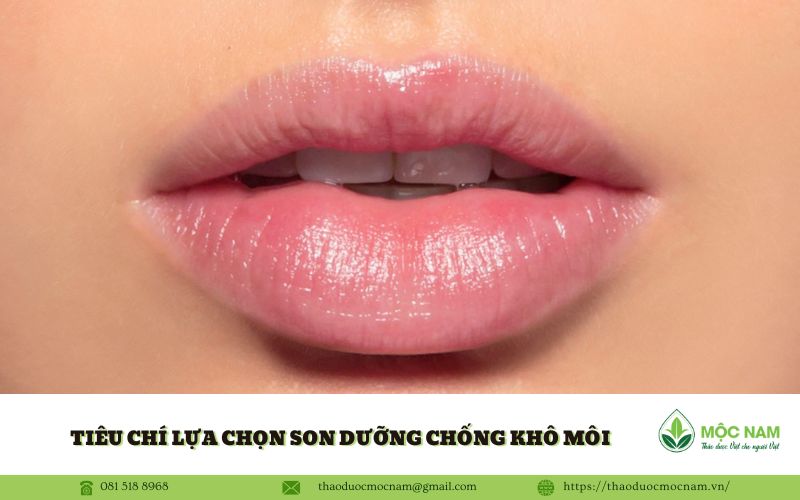 Tiêu chí lựa chọn son dưỡng chống khô môi