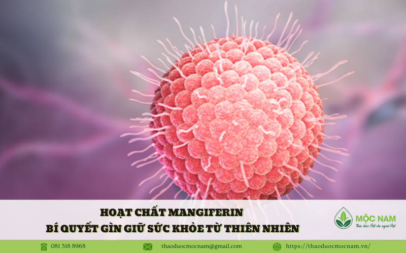 Hoạt chất Mangiferin – Bí quyết gìn giữ sức khỏe từ thiên nhiên