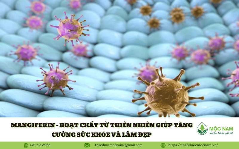 Mangiferin – Hoạt chất từ thiên nhiên giúp tăng cường sức khỏe và làm đẹp