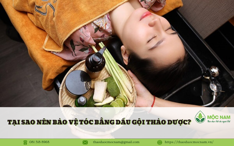 Tại sao nên bảo vệ tóc bằng dầu gội thảo dược?