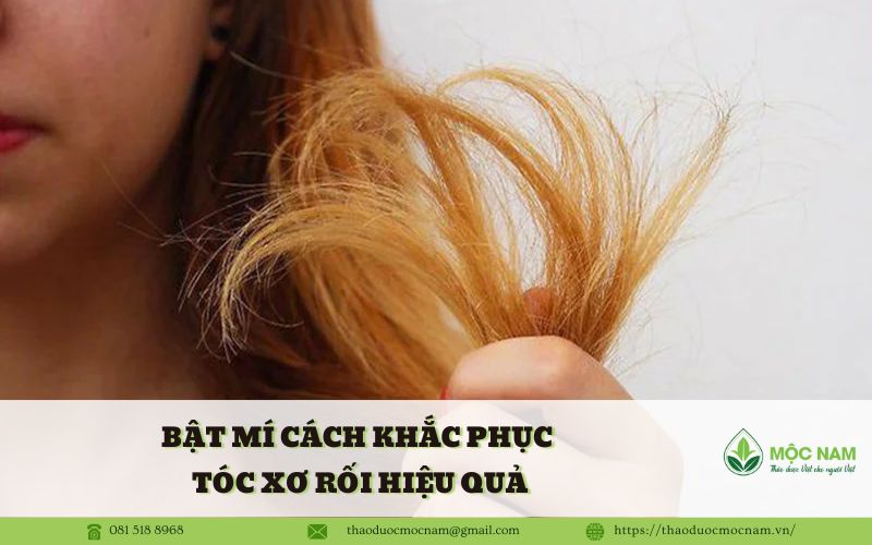 Bật mí cách khắc phục tóc xơ rối hiệu quả