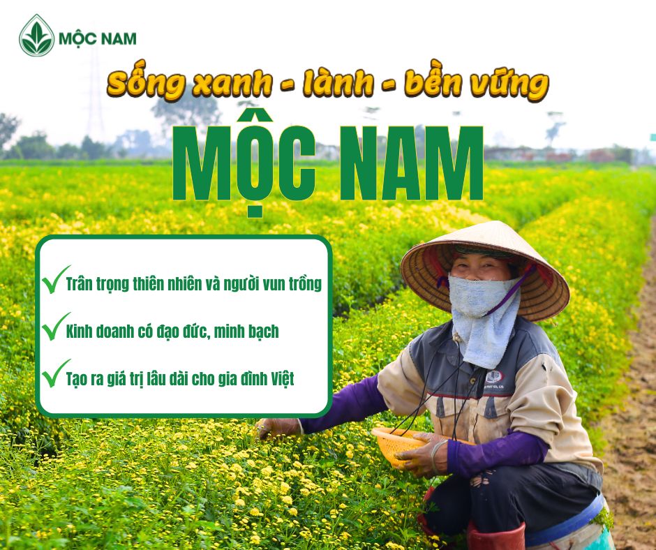 🌿 MỘC NAM - CHỌN LỐI SỐNG XANH, SỐNG LÀNH TỪ NHỮNG ĐIỀU NGUYÊN BẢN 🌿