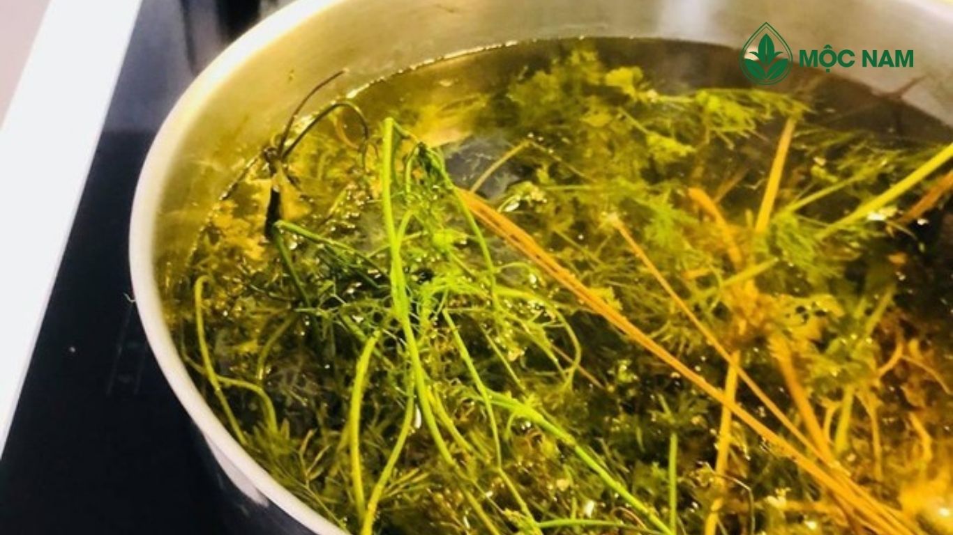 Nước tắm thảo dược trong đời sống người Việt: Từ nét văn hóa truyền thống đến sản phẩm tiện dụng hiện đại