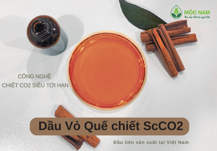 Ứng dụng của tinh dầu quế trong phòng ngừa COVID-19