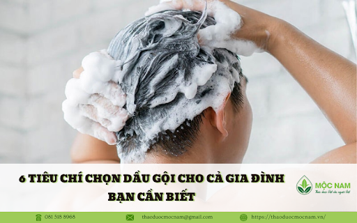 6 Tiêu chí chọn dầu gội cho cả gia đình bạn cần biết