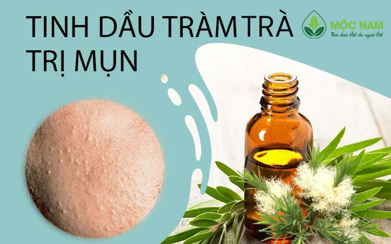 Tràm trà chất kháng khuẩn tự nhiên hỗ trợ điều trị mụn hiệu quả