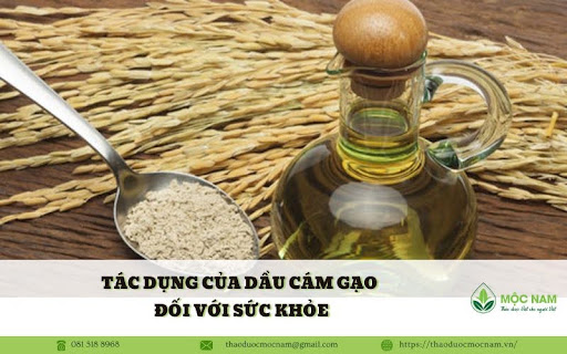 Dầu cám gạo là gì? Tác dụng của dầu cám gạo đối với sức khỏe