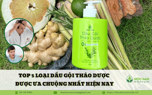Top 5 loại dầu gội trị rụng tóc ở nam giới hiệu quả nhất