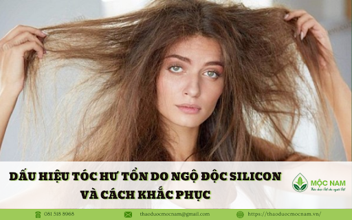 Dấu hiệu tóc hư tổn do ngộ độc Silicon và cách khắc phục