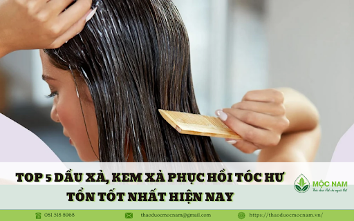 Top 5 dầu xả, kem xả phục hồi tóc hư tổn tốt nhất hiện nay
