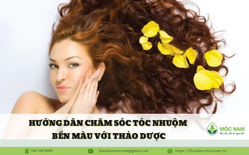 Chăm sóc tóc nhuộm bền màu với thảo dược - Tóc nhuộm dùng dầu gội gì tốt?