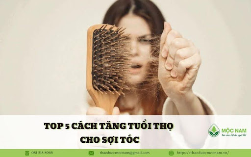 Top 5 cách tăng tuổi thọ cho sợi tóc