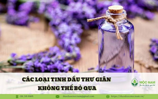 Các loại tinh dầu thư giãn không thể bỏ qua