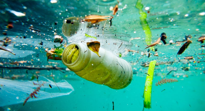 Hệ thống lọc tổng đầu nguồn - Ảnh nguồn nước ô nhiễm