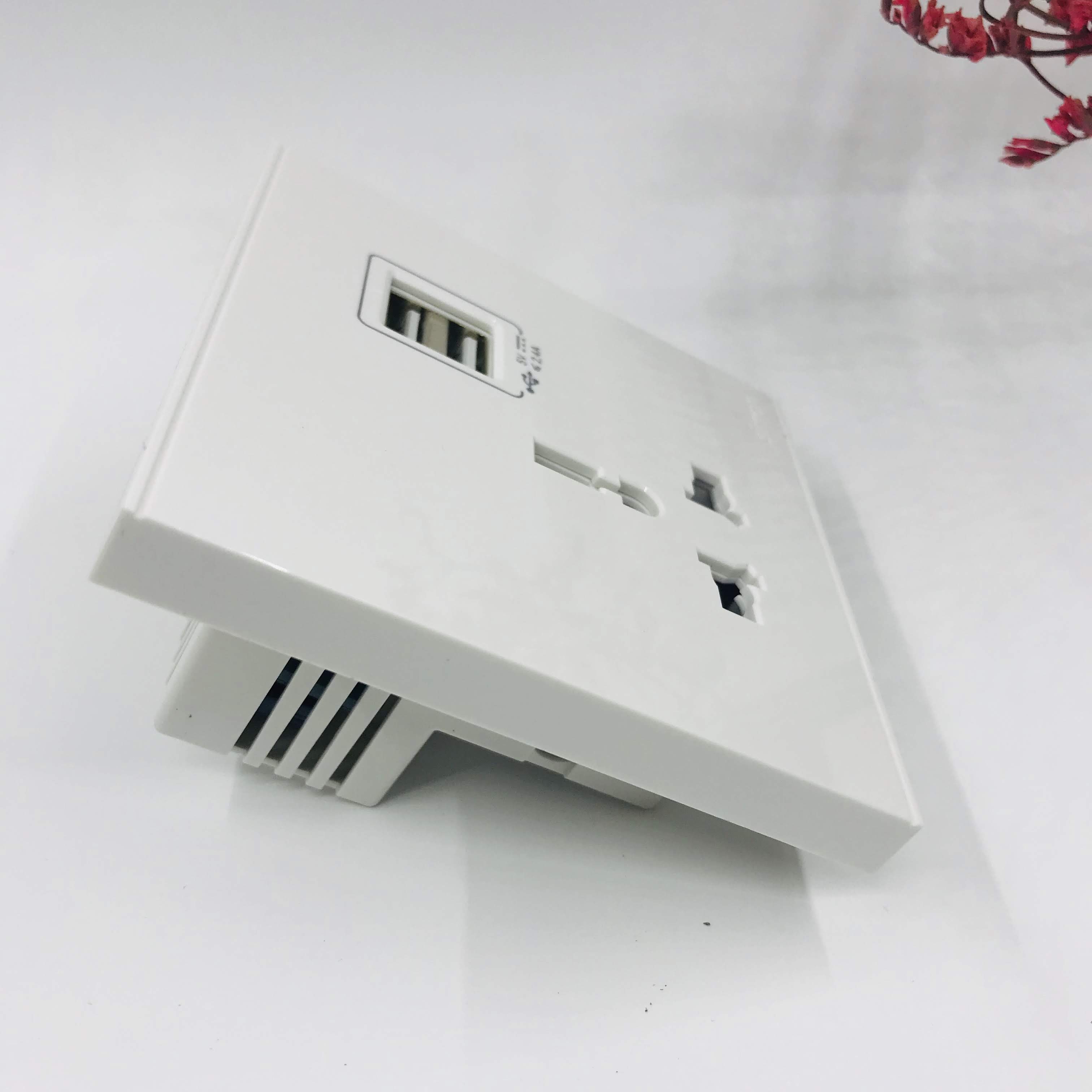 Bộ Ổ cắm đơn đa tiêu chuẩn 10A có cổng sạc USB màu Xám (Grey) 72E725-61
