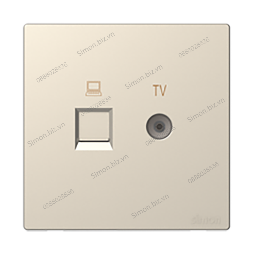 Bộ ổ cắm ti vi và mạng cat6 mặt vuông màu Sâm Panh (champagne) Simon S6 585302-46