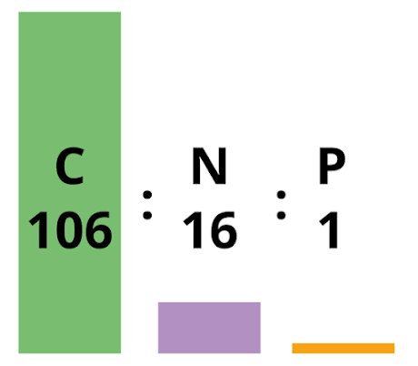Tỷ lệ Redfield (Redfield ratio)