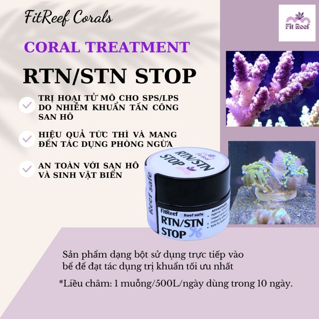 FitReef RTN stop - phương pháp hiệu quả trị RTN/STN hoại tử (Rapid/slow tissue necrosis) ở san hô