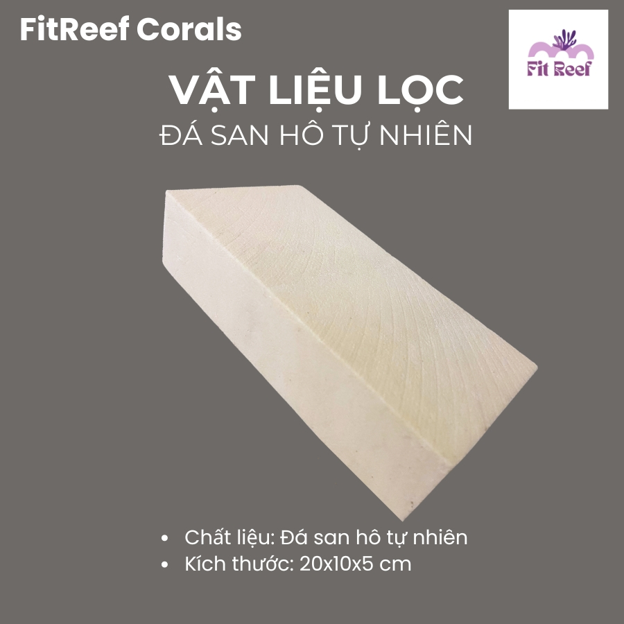 Vật liệu lọc cao cấp bằng đá san hô tự nhiên chuyên dùng cho bể nước mặn (size lớn 20x10x5 cm)