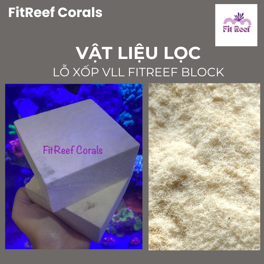 Vật liệu lọc cao cấp bằng đá san hô tự nhiên chuyên dùng cho bể nước mặn (kích thước từ nhỏ đến trung)
