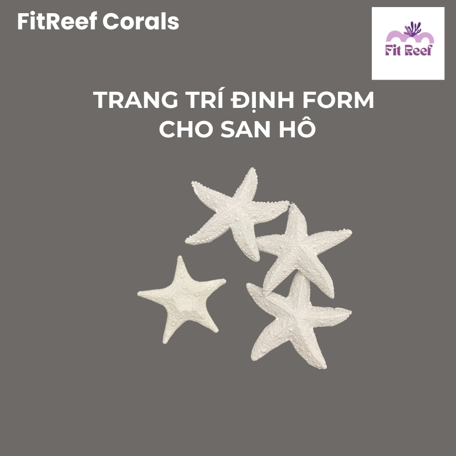 Tượng sao dùng trang trí, tạo hình san hô