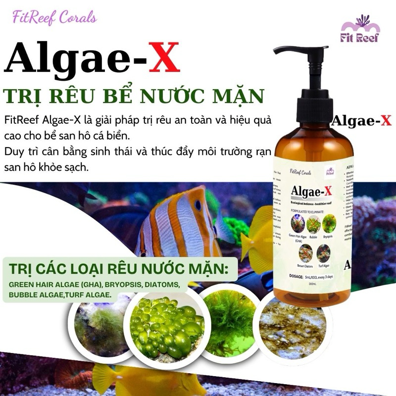 FitReef AlgaeX trị rêu hồ cá biển an toàn và hiệu quả cao