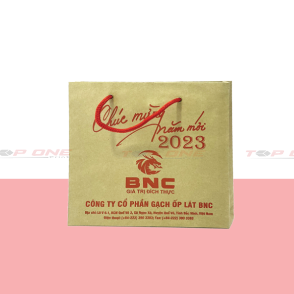 In ấn các loại túi giấy